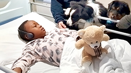 A PAWS4U therapy dog visits a pediatric oncology patient